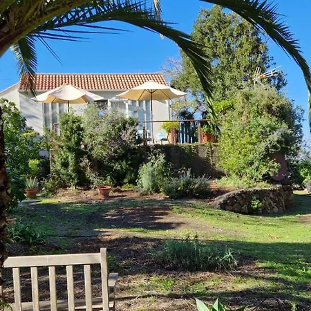 Hébergement de vacances Almendro Puntagorda